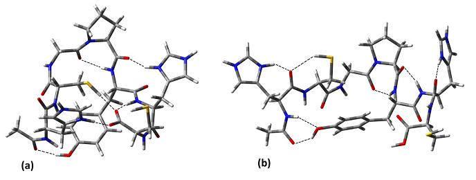 lowest energy conformers located using the B3LYP/LanL2DZ method 