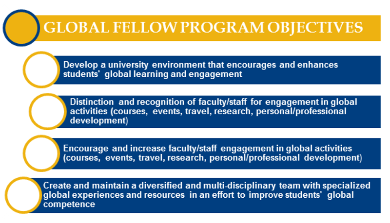 Global Fellow Program Objectives