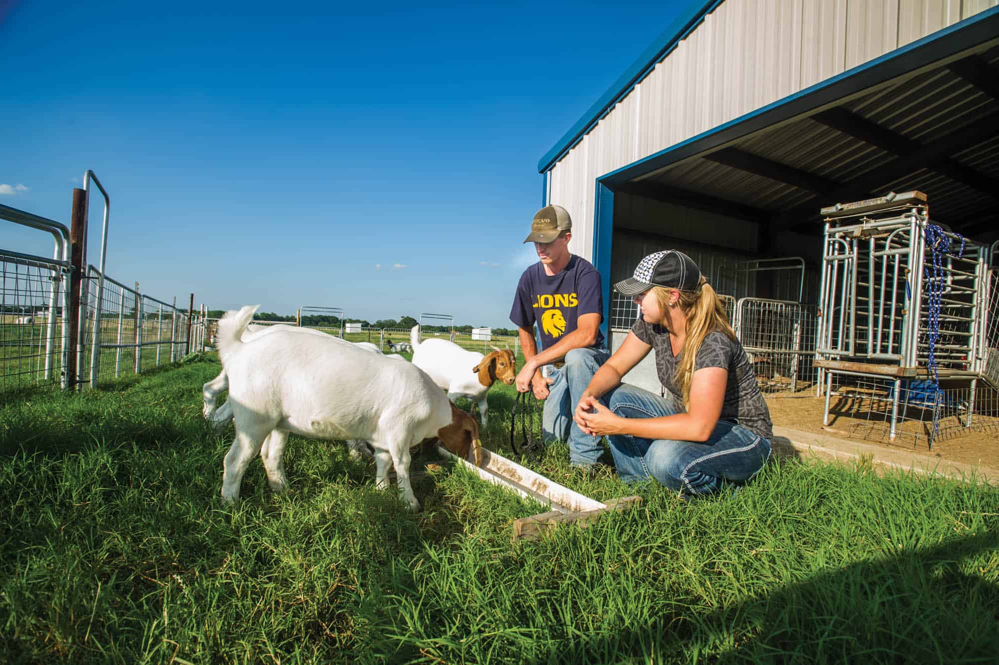 a couple of people that are petting some animals.