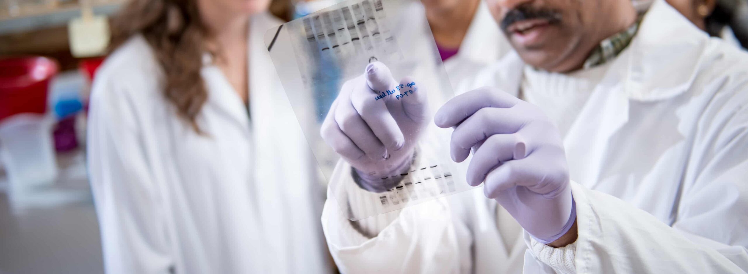 Biologist inspecting lab print