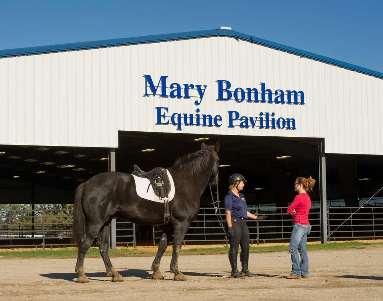 Student holding horse outside Mary Bonham Equine Pavilion