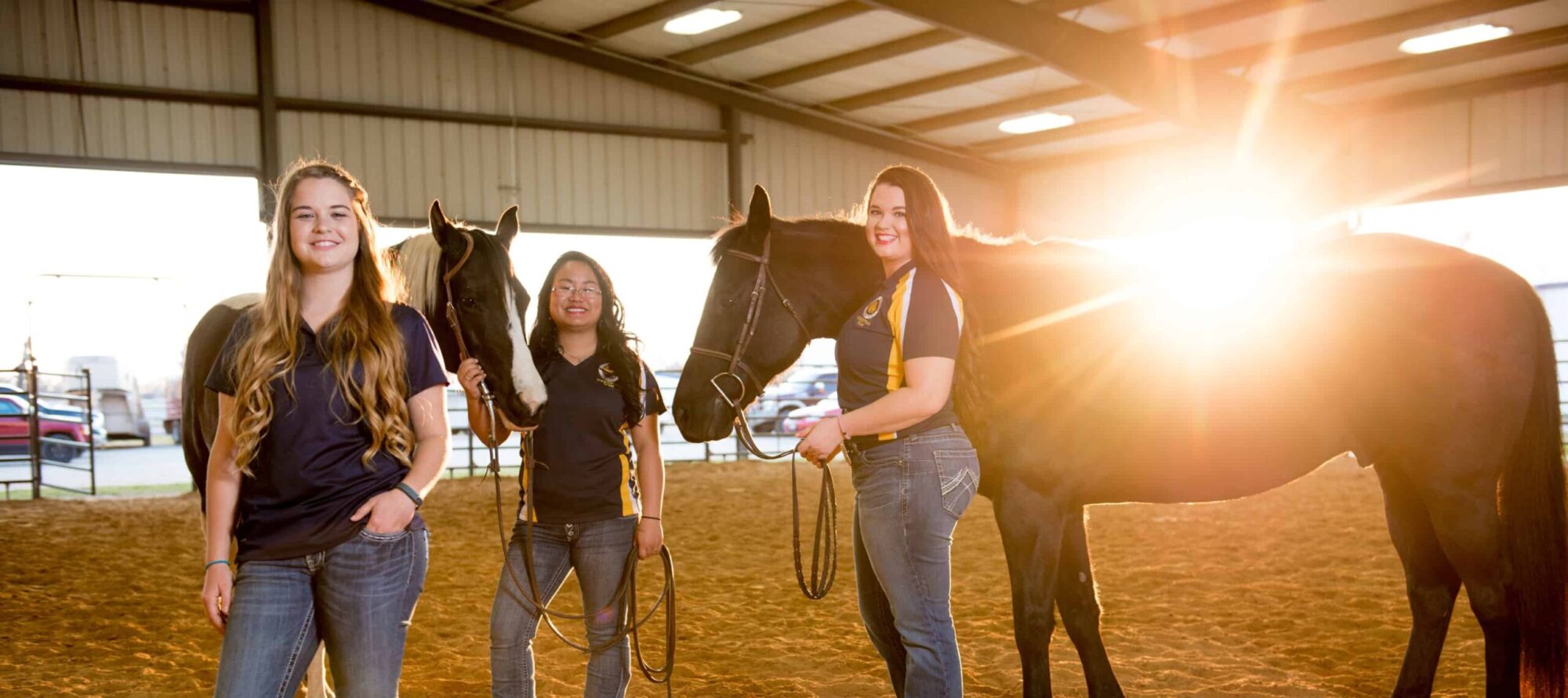 Two women holding horses and other women .background 'sunshine'