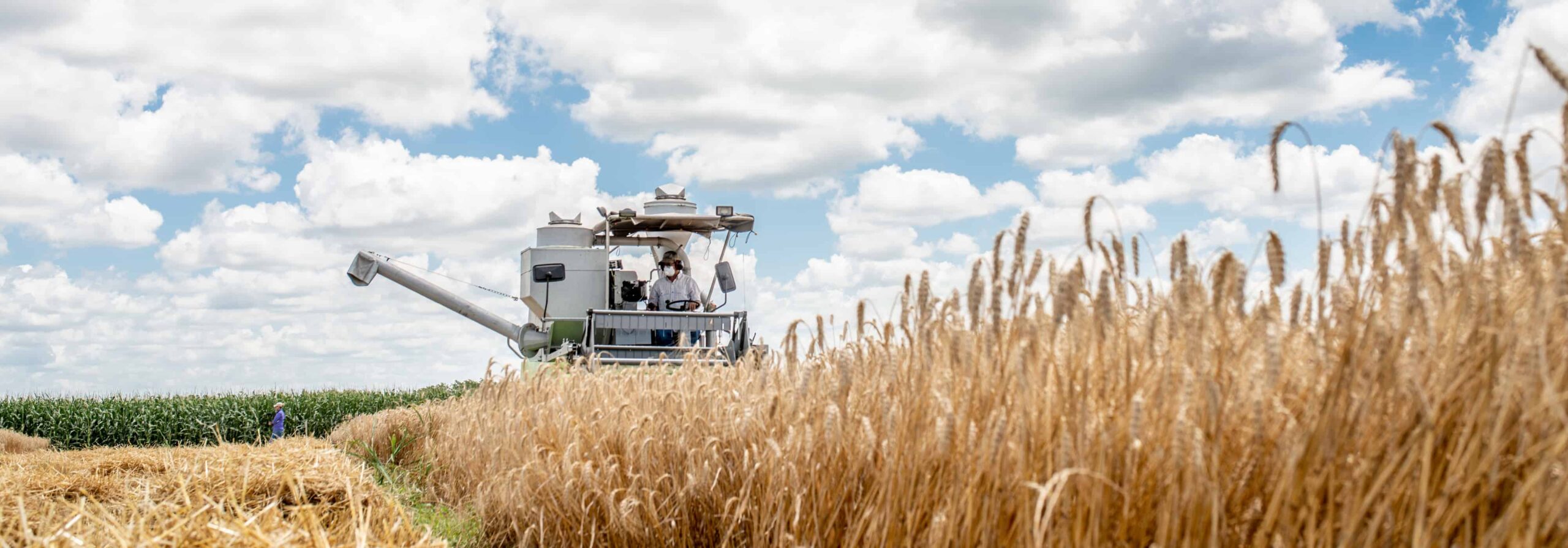 Agriculture machine in a field