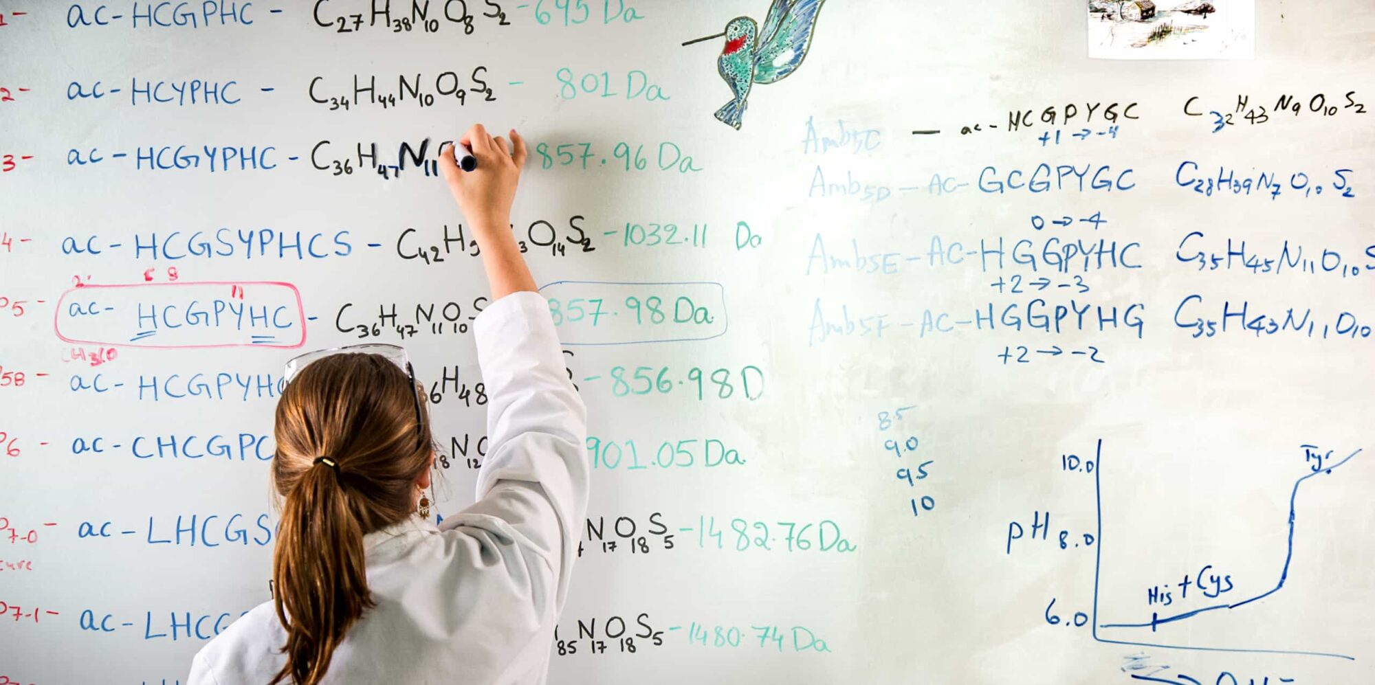 Chemistry student writing molecular equations on a whiteboard
