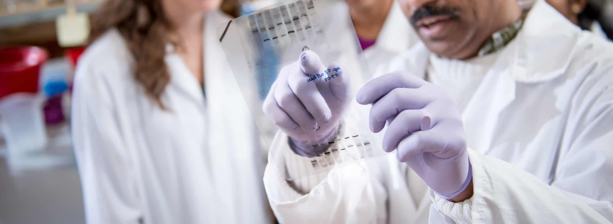 Biologist inspecting prints in a lab