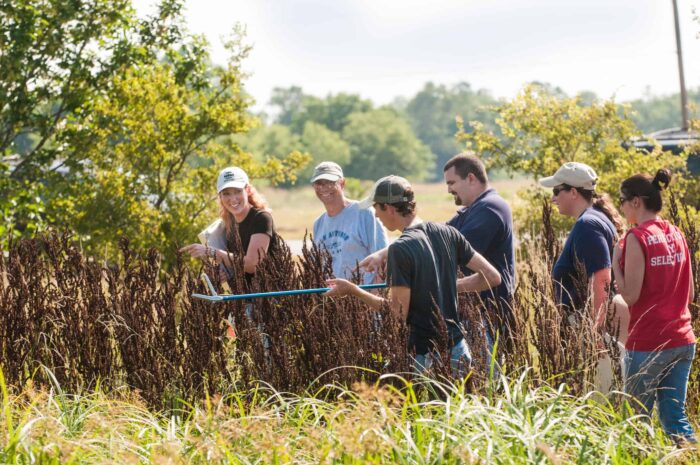 Wildlife science students walking in tall grass