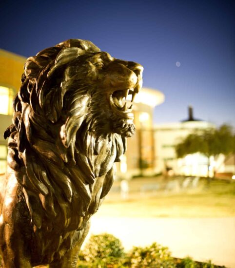 lion statue on campus.