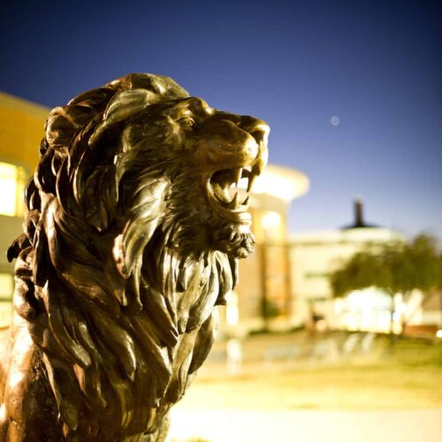 lion statue on campus.