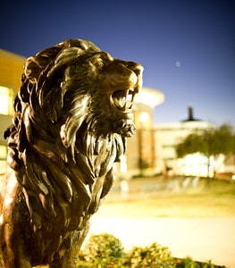 TAMUC lion statue on campus.