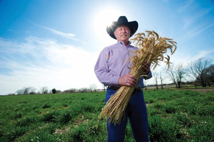 DA Ben Scholz holding wheat