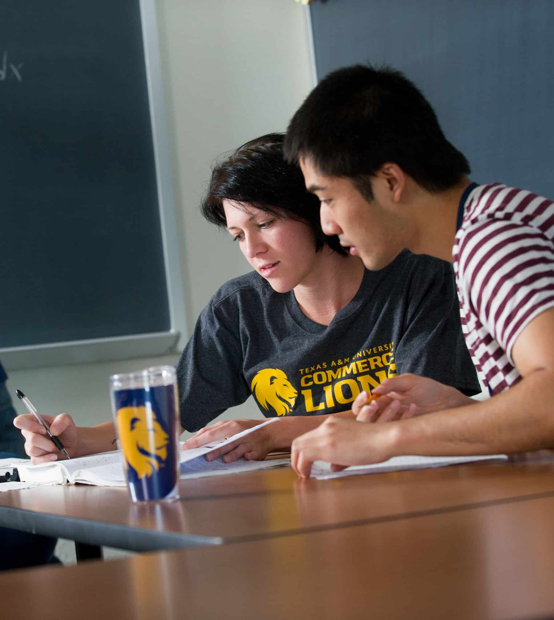 Two students studying together