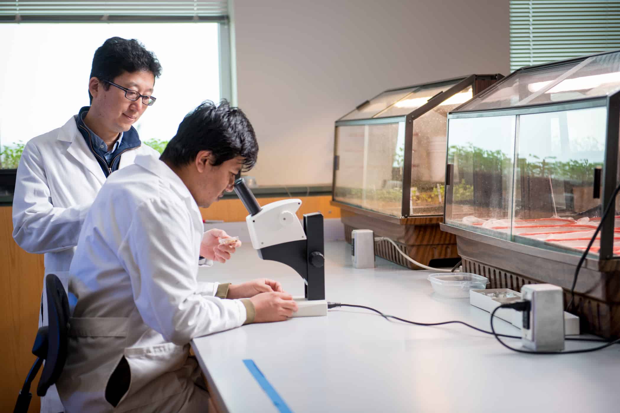 Students looking into microscope in Biology lab