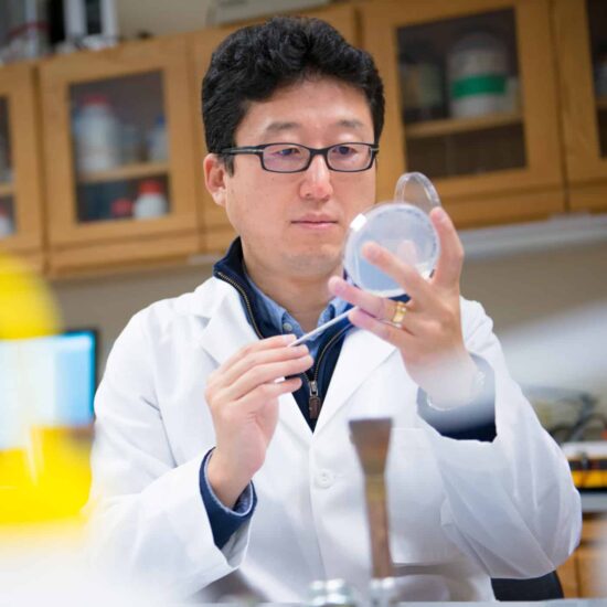 Chemist inspecting petri dish in a lab