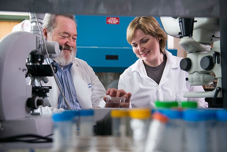 Biologists inspecting Petri dish