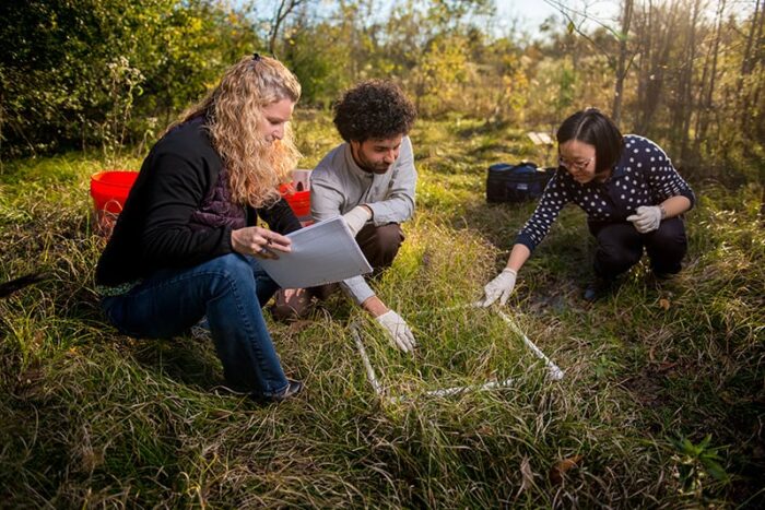 Three students working on filed