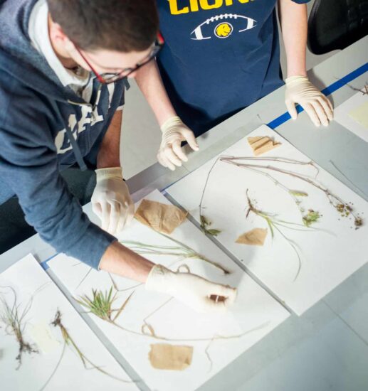 Environmental science students examining plants