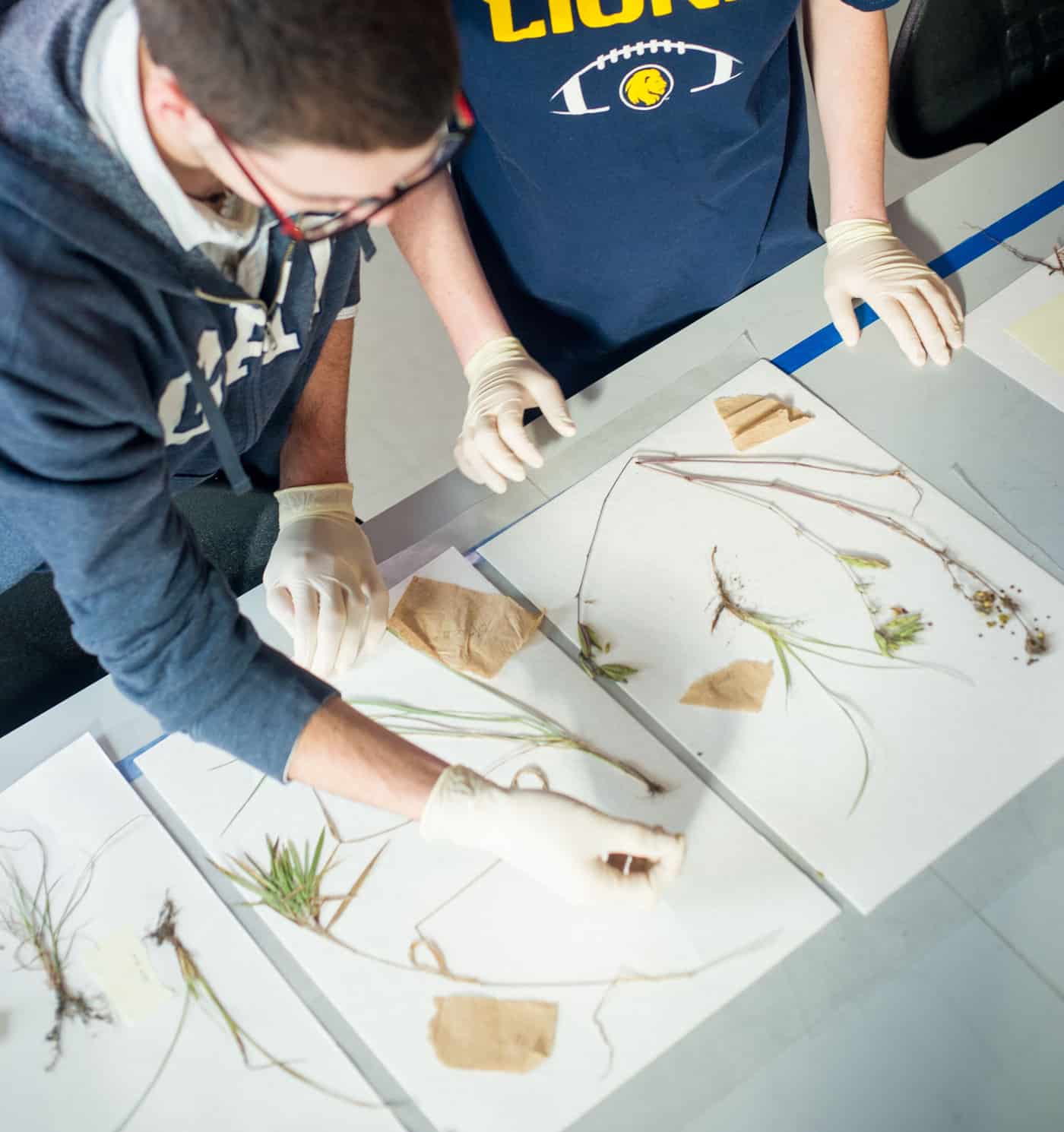 Environmental science students inspecting different plants