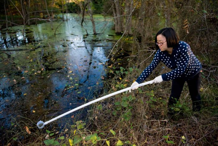 Environmental science student obtaining water sample