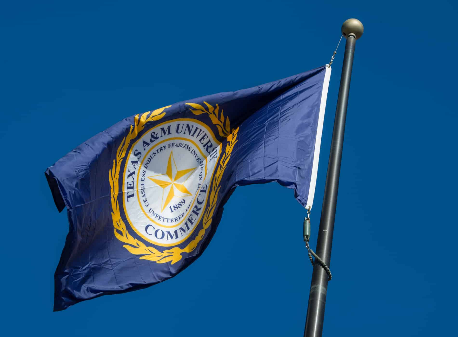The A&M-Commerce flag