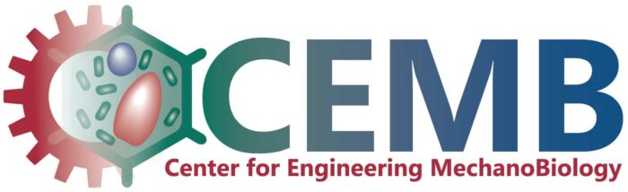 Center for Engineering MechanoBiology logo