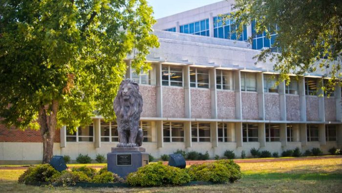 Lion statue background 'Library building'