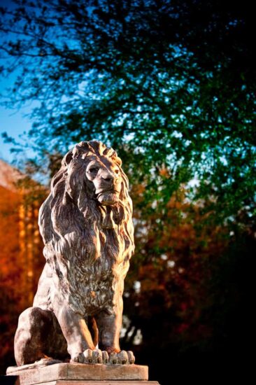 A lion statue at A&M-Commerce