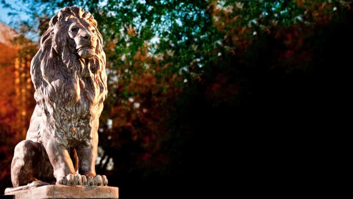 Lion statue