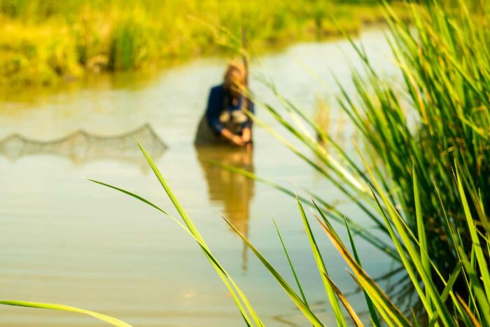 Environmental scientist setting up system in water