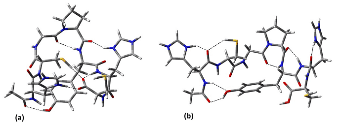 Diagram describing location of lowest energy conformers