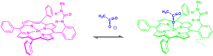 Diagram of anion recognition