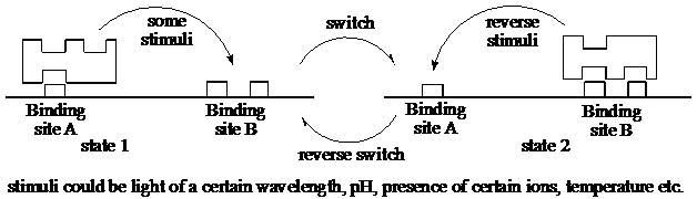 Diagram showing relationship between guest and host compounds