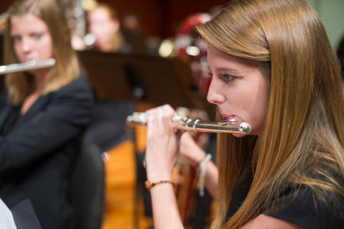 Girl playing an instrument