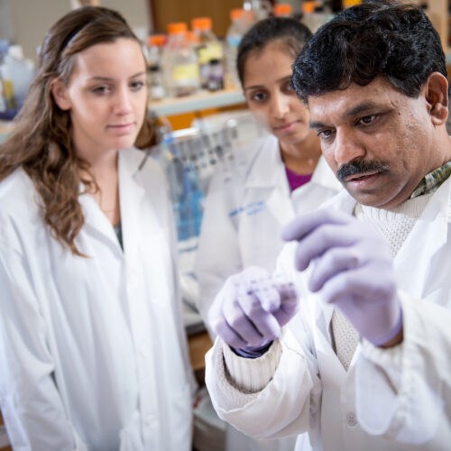 A professor and three students performing a test in the biology lab.