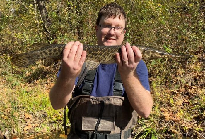 A reseacher holds up a spotted gar in both hands.