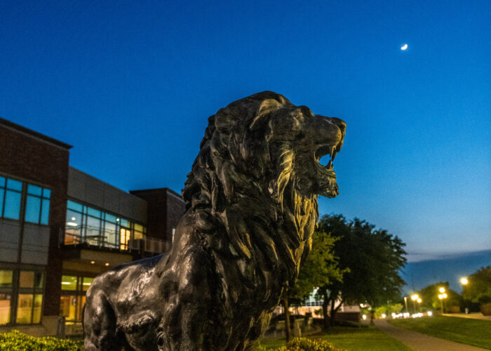 Lion statue at night