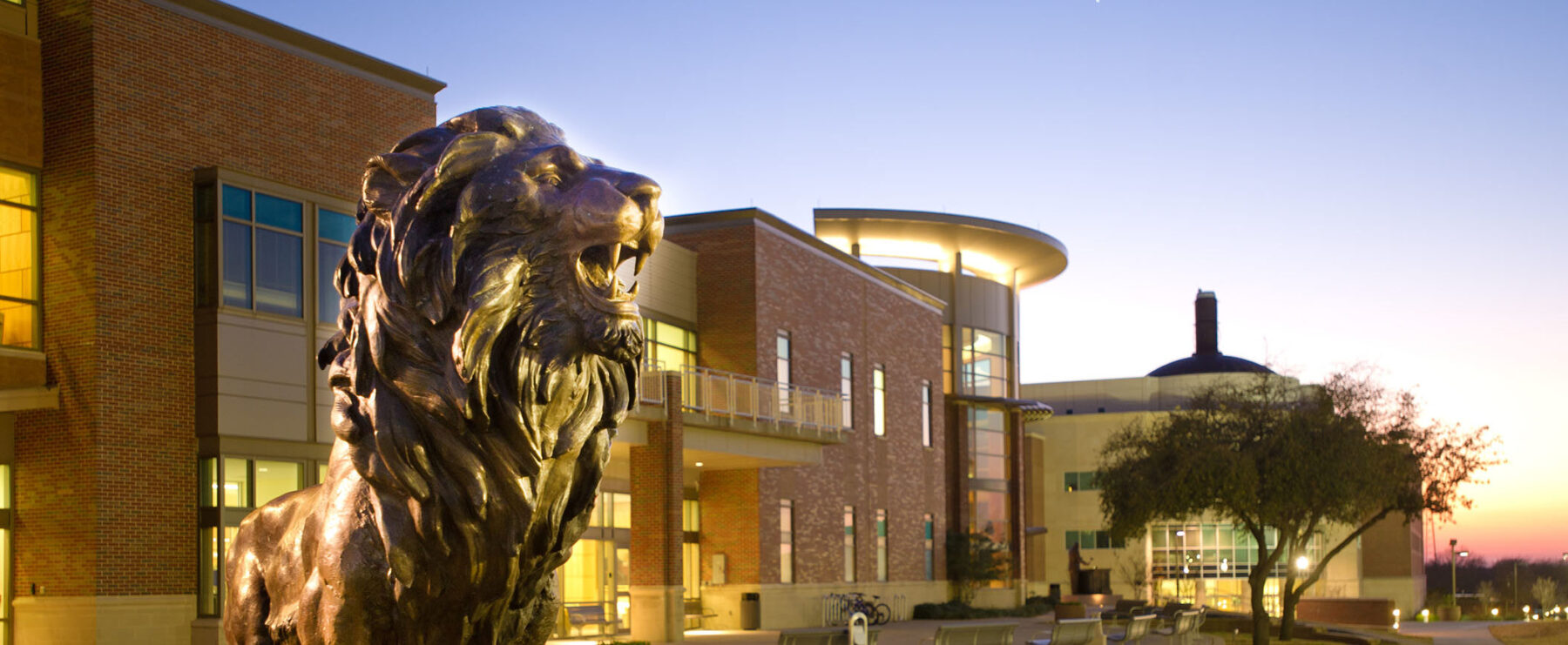 Lion statue at A&M-Commerce