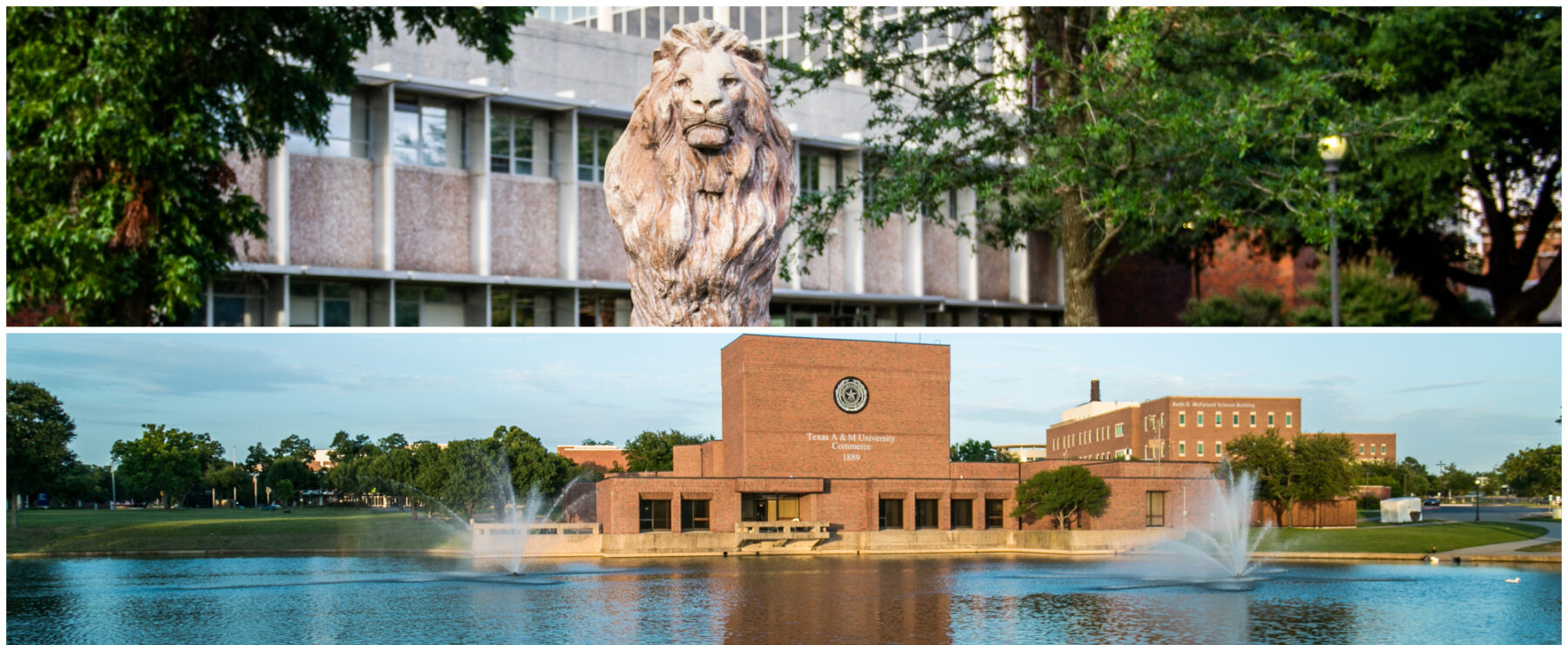 Gee Lake and Gee Library