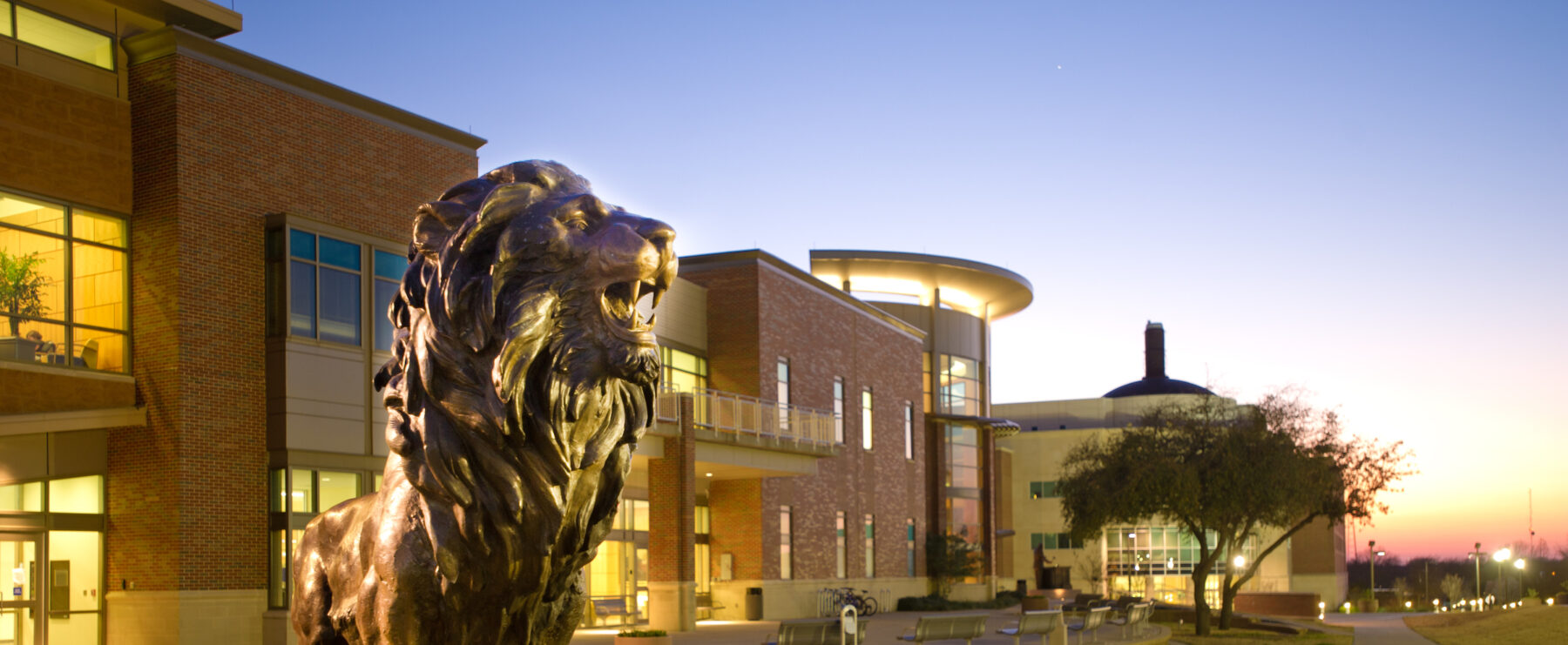 Lion statue