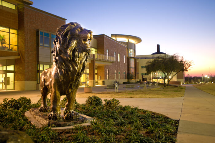 Lion statue