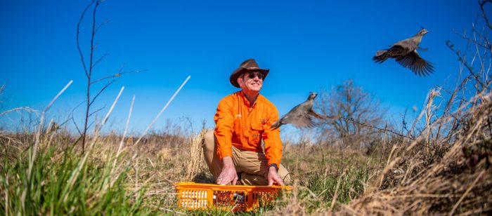 A field researcher watches as a quail takes flight into the wild.