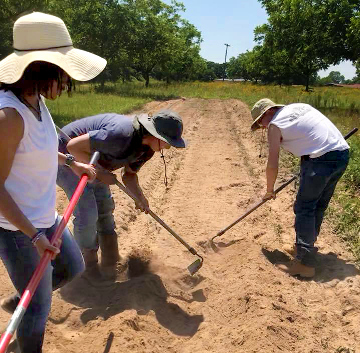 Tamuc students working on prepare the soil before planting crops to gain their hands-on experience. 