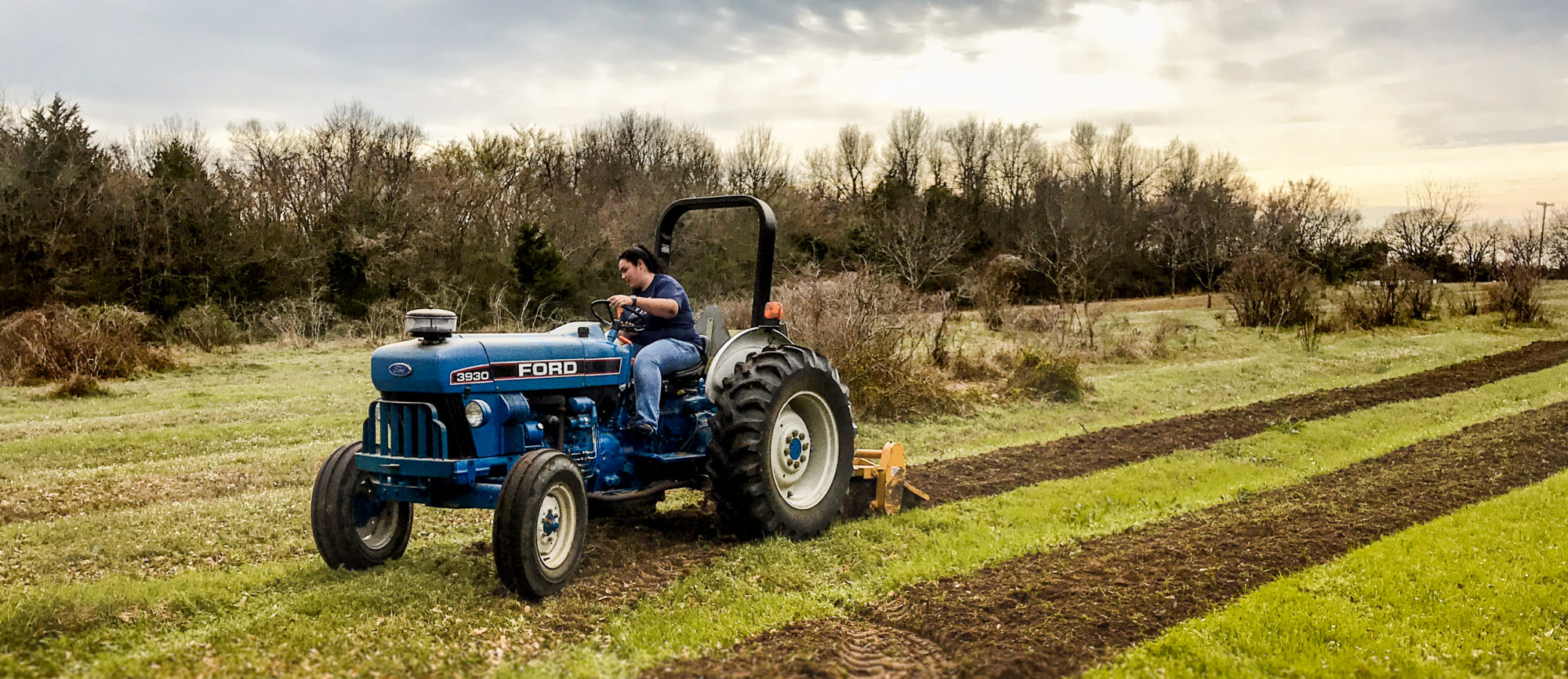 Tamuc student gaining hand-on experience plowing a field.