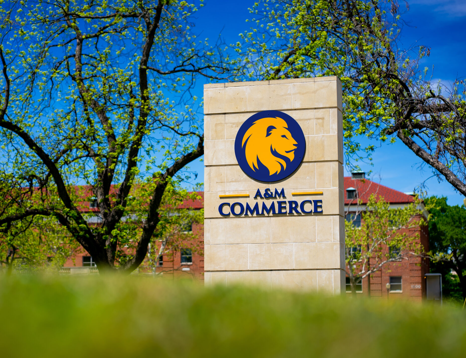 A&M-Commerce sign on campus.