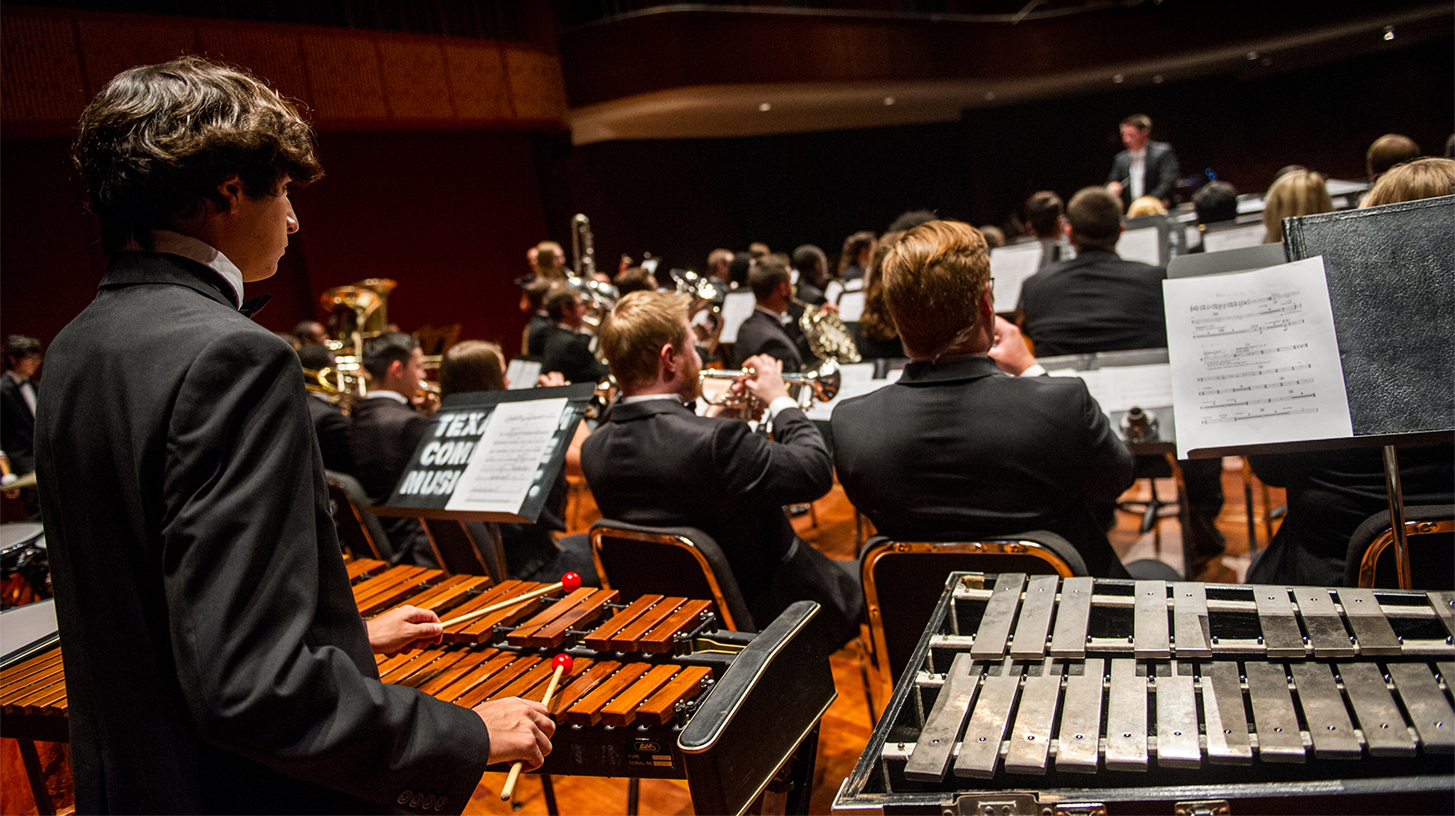 Individual playing in an orchestra.