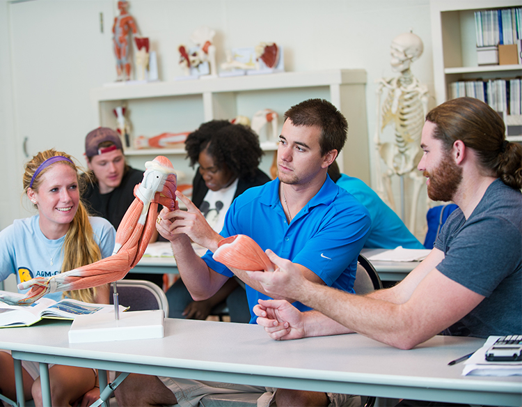 Group of students studying muscles in biology lab.