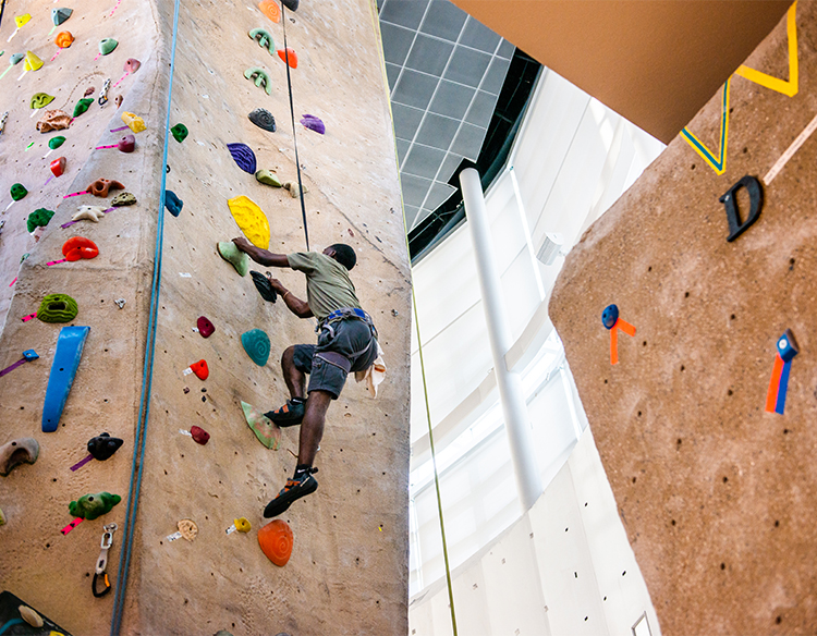 Rock climbing wall at the Recreation center.