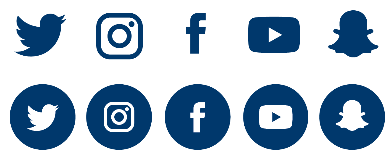 Example of social media icons in blue.