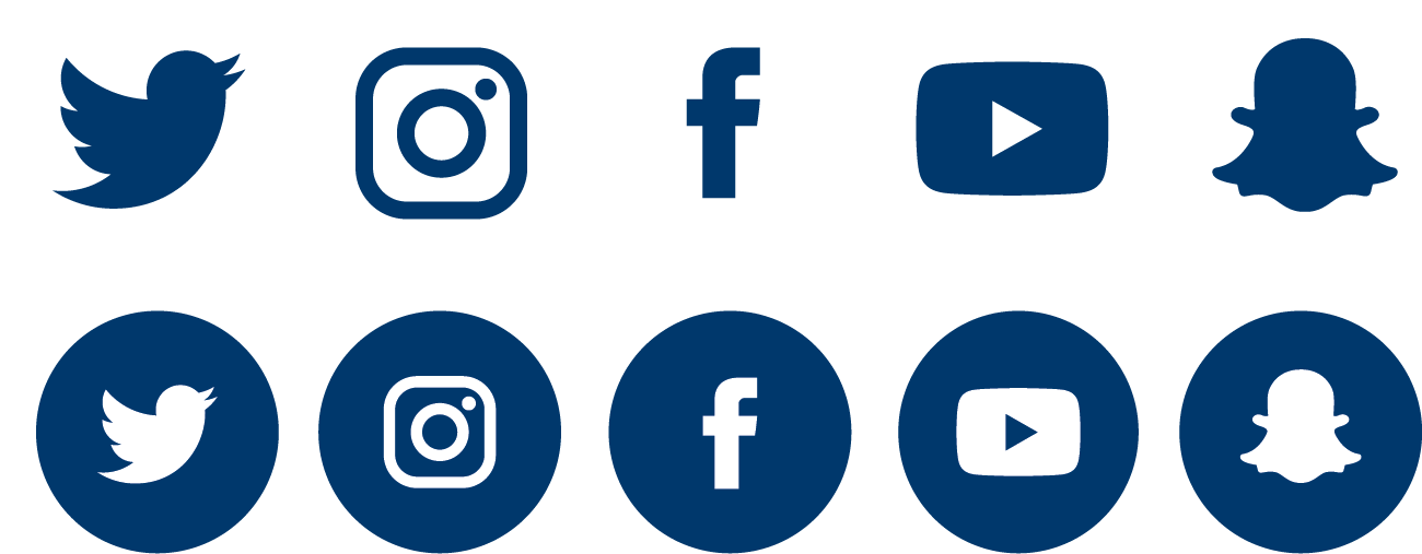 Example of social media icons in blue.