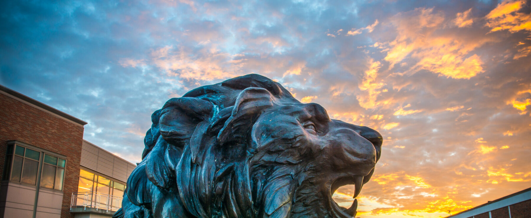 TAMUC lion statue at dusk