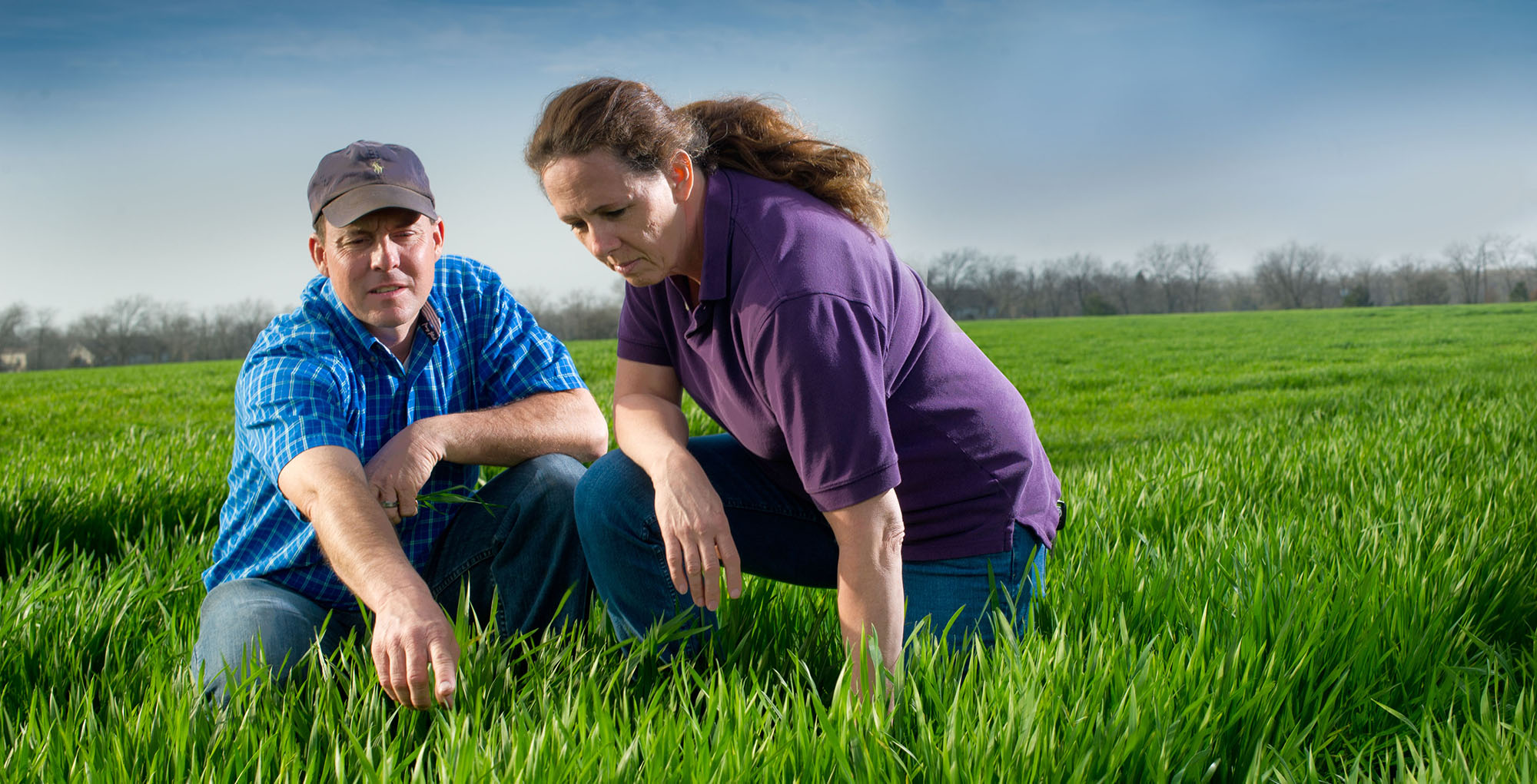 Two professor examine plants on a field.